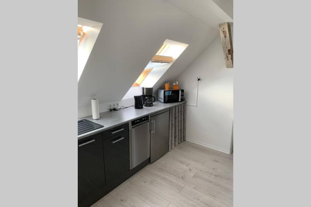 Ht Appartement Nr 1 Greppin エクステリア 写真